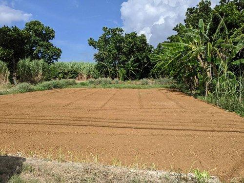 平良字荷川取　230坪