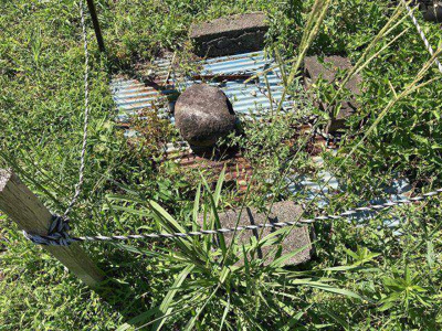 【その他】 | 隈之城町字尾崎土地
