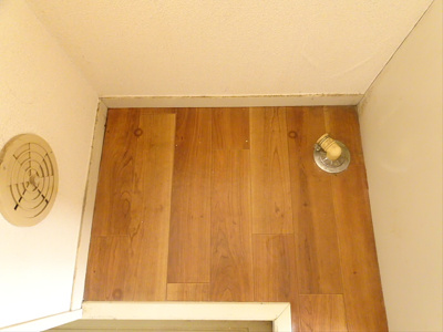 【その他】 | イスティーム