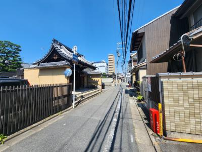 メゾン・ド・セルリアンの周辺|前面道路