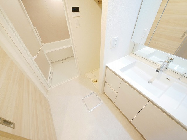 ラヴィーナ奈良の洗面所