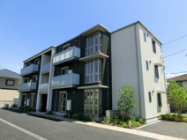 ユキコート椿の画像