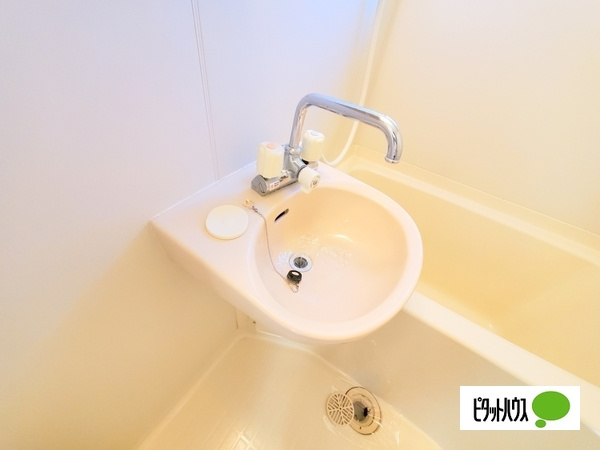 AOIハイムの洗面所