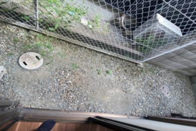 【庭】 | Mハイツ城北