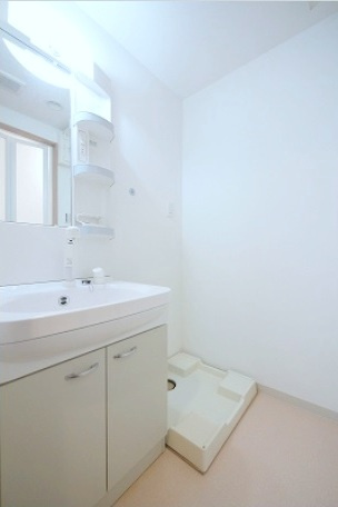 メゾン・エイムの洗面所