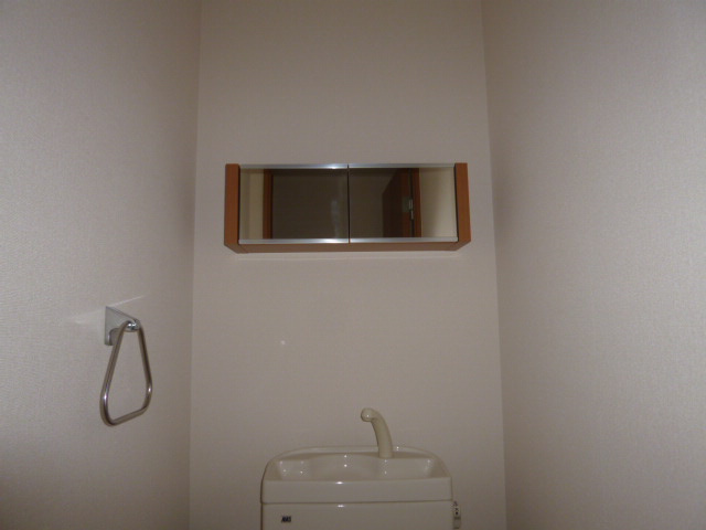 センチュリーカーサのその他