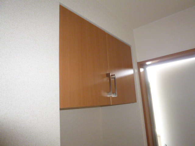 センチュリーカーサの収納