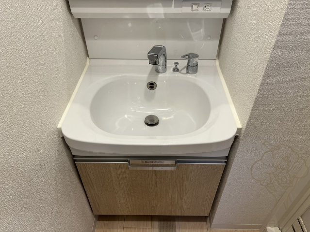 アドバンス大阪城北グレカーレの洗面所