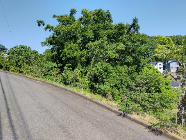 売土地　三島市大場の外観|近くに公園があります。休日にご家族でバドミントンが楽しめますよ♪