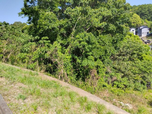 売土地　三島市大場の外観|建築条件なし！お好きなハウスメーカーでお家が建てられます。