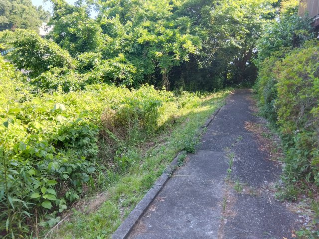 売土地　三島市大場の外観|現在地目は山林ですが宅地としてお使いいただけます。