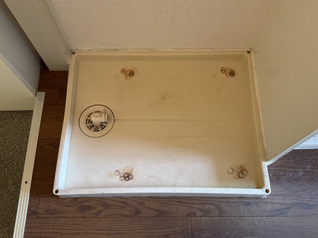 ステラ白浜のその他