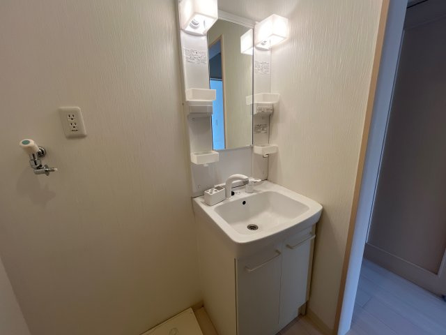 フレシールメゾンＢ棟の洗面所