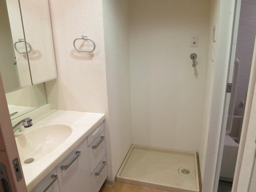 レジディア泉の洗面所