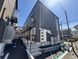 ｐｉｎｅ Ｓの画像