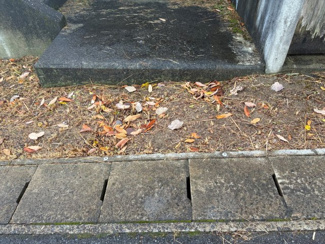 【周辺】 | 大津市和邇春日3丁目855-14　売土地