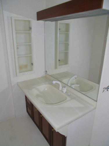 ライオンズガーデン植田中央の洗面所