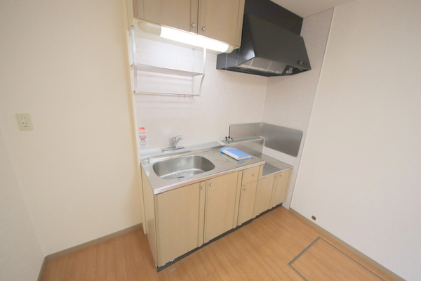 ビヨンドエミネンスA棟のキッチン