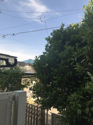 【展望】 | メゾンブランシュ