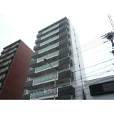 フローライト徳川の画像