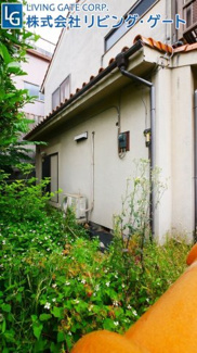 【外観】 | 建物西側の様子。