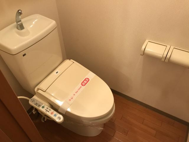 ヒーリングパレスのトイレ|トイレ