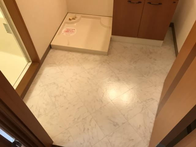 ヒーリングパレスのその他|脱衣所
