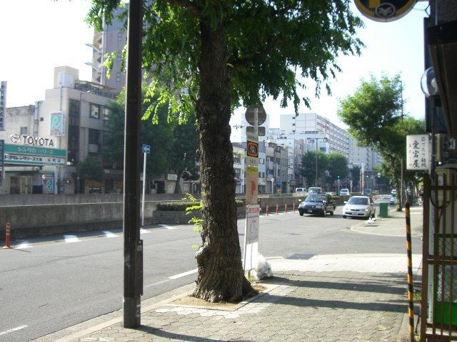 小松ビルのその他|前面道路（谷町筋）
