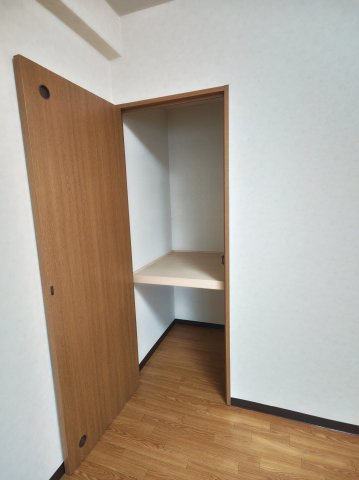 サンライズ早子の収納|収納豊富です