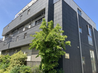 パラッツォ ビアンコネロの画像