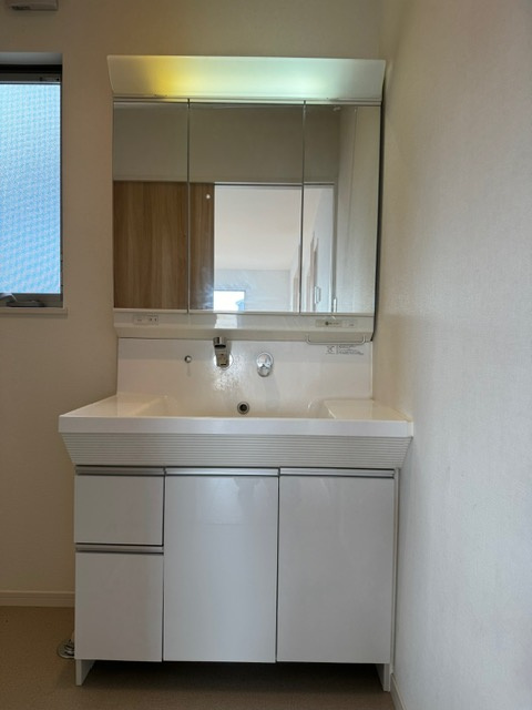 ネクサスタウン桜Ⅱの洗面所