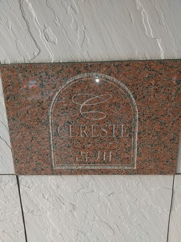 セレスト吉川のその他共用部分