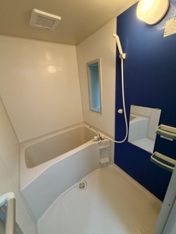 GranVita徳山駅前の浴室