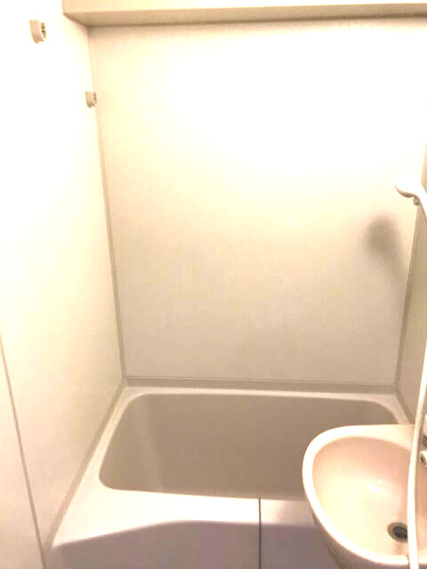 共有