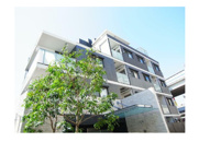 ＴＨＥ　三軒茶屋　ＨＯＵＳＥの画像
