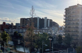 ウィンザーハイム南砂の展望