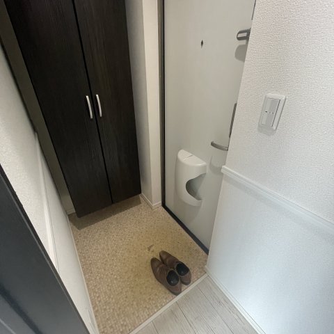 デリス・メゾンⅥの玄関|収納もある玄関です