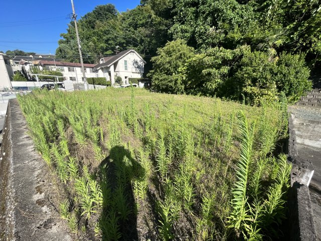 熊本市西区池田一丁目売地の土地図