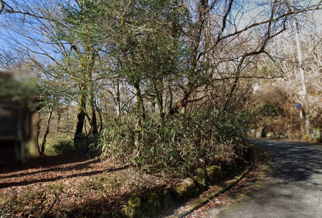 富士急十里木高原別荘地⑪　十里木の前面道路含む現地写真