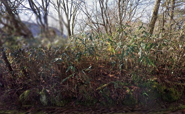 富士急十里木高原別荘地⑪　十里木の外観