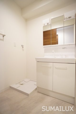 熊本市南区田迎６丁目の賃貸マンションの独立洗面台