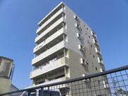 ダブルドアズの画像