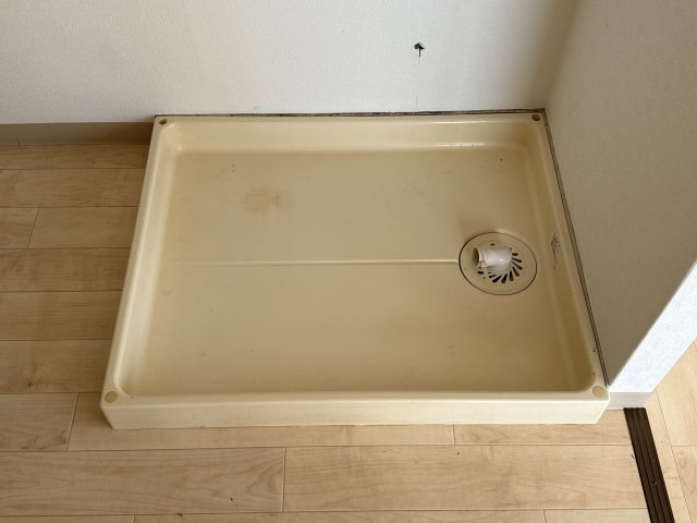 アゼリアのその他