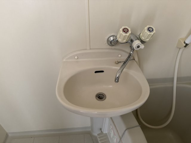 アゼリアの洗面所