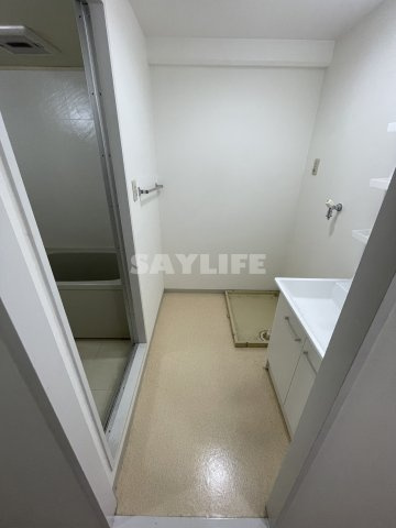 リベラルパレス城東A棟の洗面所