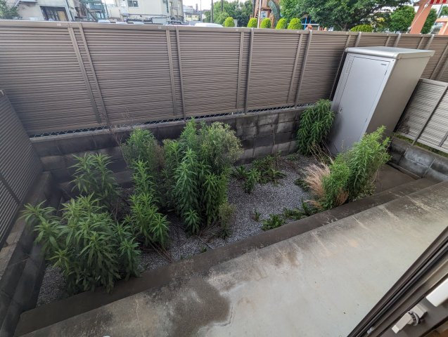 プレジール田無の庭