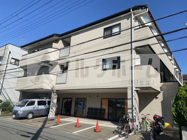 インフィニティ シバタ