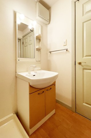 リバーサイド本条の洗面所