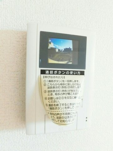 ブルーベリーのセキュリティ