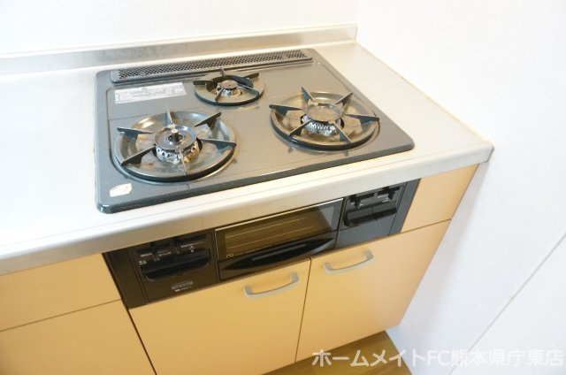 熊本市中央区大江６丁目の賃貸マンションのキッチン
